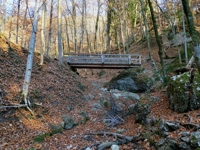 im aigner park