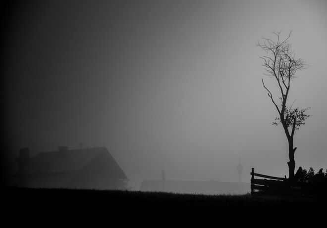 herbstmorgen.........