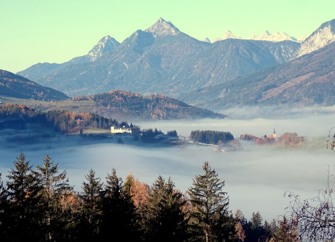 Novembernebel