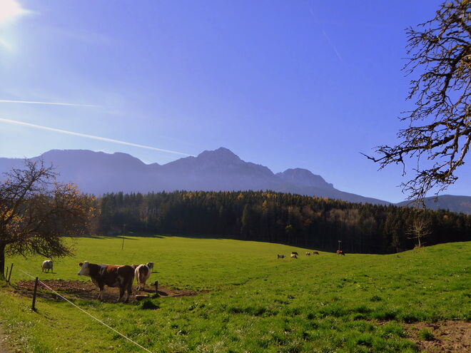 am Berg