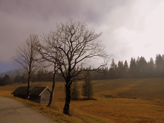der Weg zum Seewaldsee