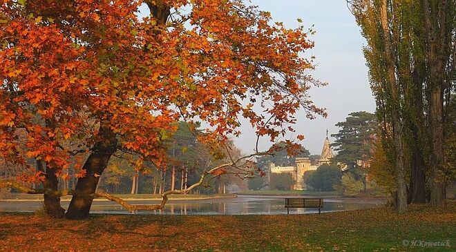 Herbst im Schlosspark