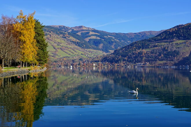 Unser schöner Zeller See im Spätherbst