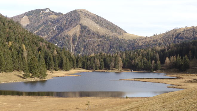 Seewaldsee