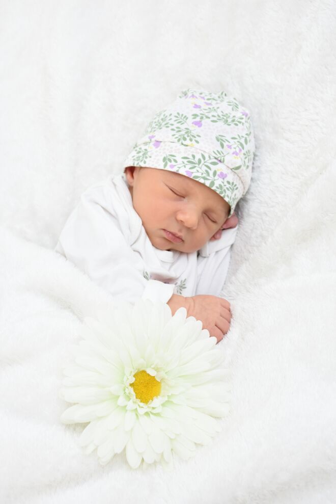 Maya Sophie Pomock