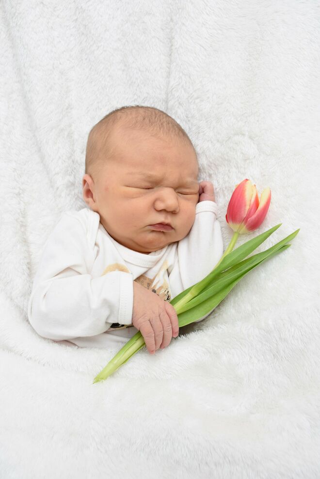 Cecilia Melissa Moritz
