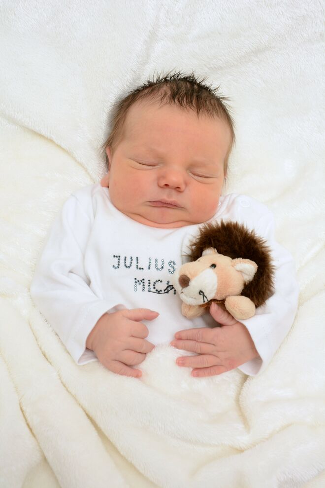 Julius Michael Van Elst