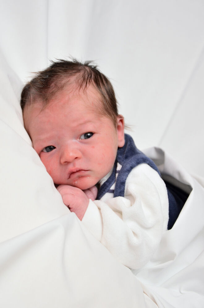 Noah Rambichler
