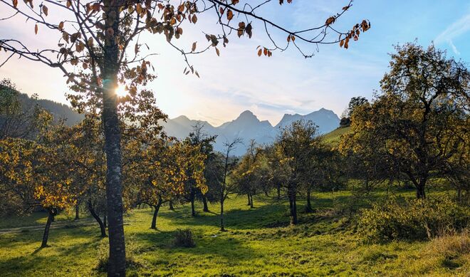 . . . noch Sommerzeit . . .