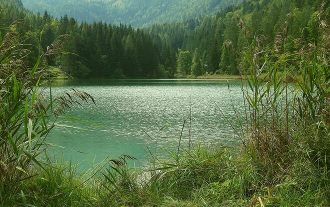 . . . noch mild genug