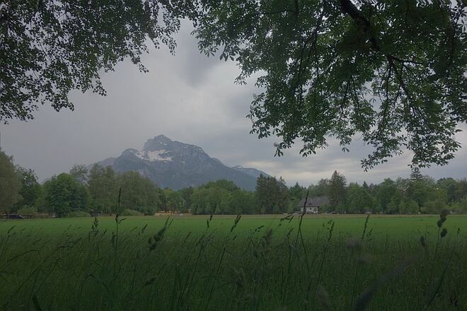 Hier riecht es nach einem Guss von oben