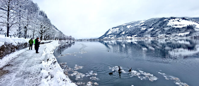 Zeller See