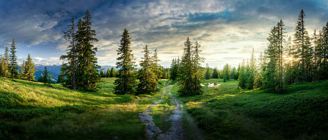 Naturerlebnis Rossbrand