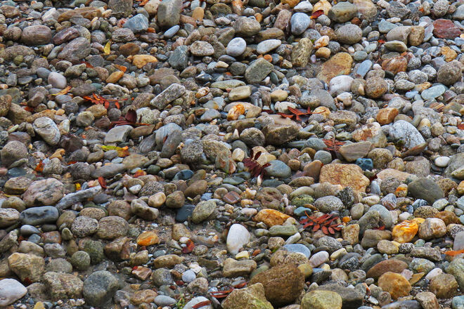 "Mosaik der Natur"