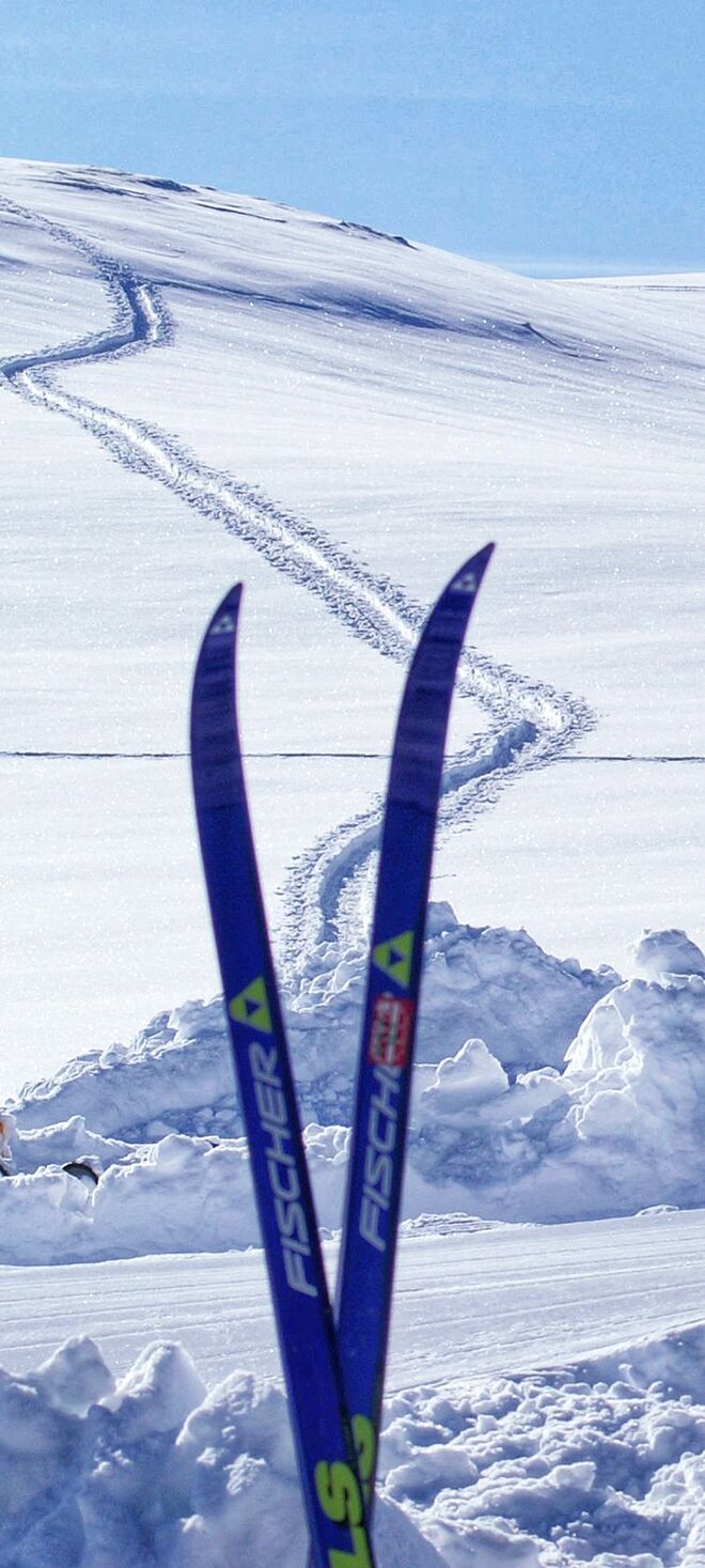 Schafberg