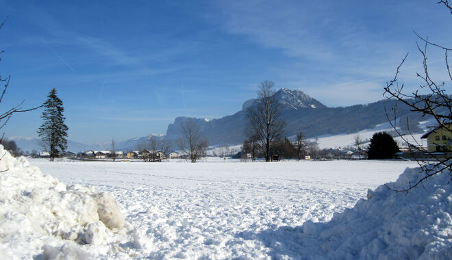 schneegesäumt