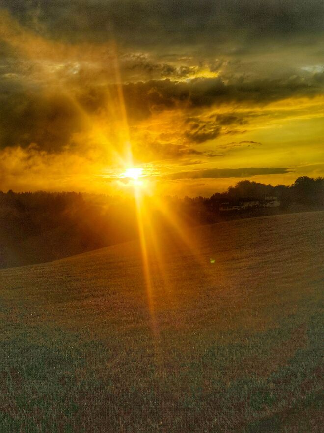 die Sonne geht
