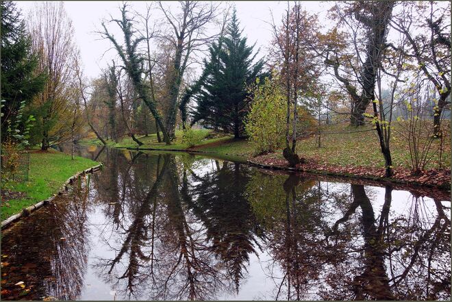 . . . unruhige Baumgestalten . . .