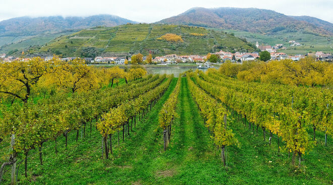 Welt Kulturerbe Wachau