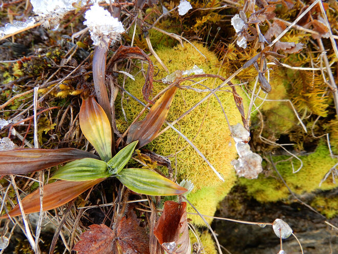 Winter einmal anders