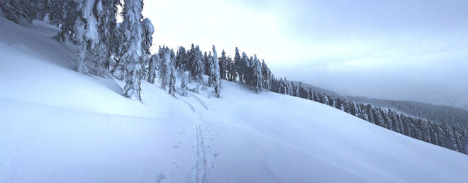 Winterliche Spur