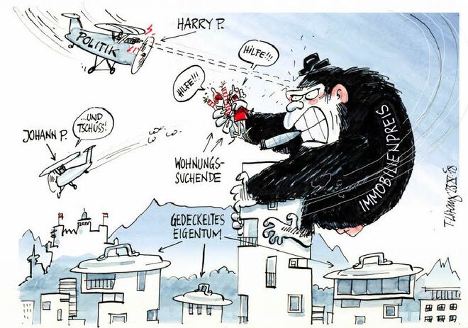 Der Salzburger Immobilienmarkt . . .