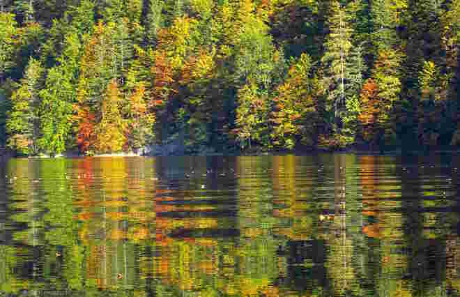 Malerische Spiegelung