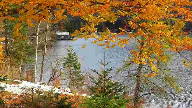 Herbst am See