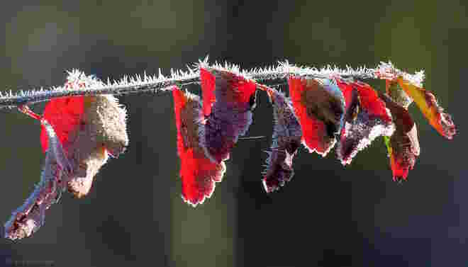 Herbst trifft Winter