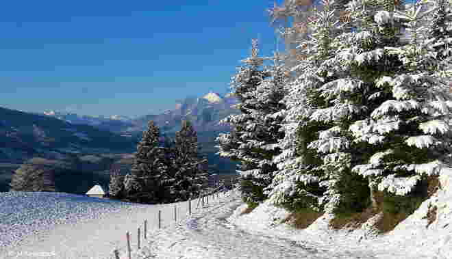 Stille Zeit im Advent