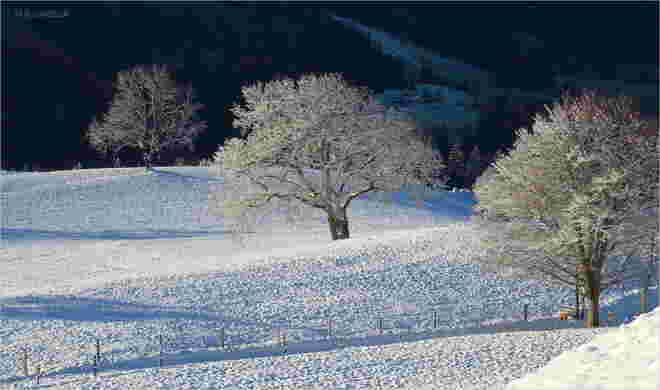 Neuschnee am Nikolaustag