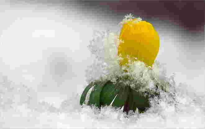 Die Rückkehr des Winters