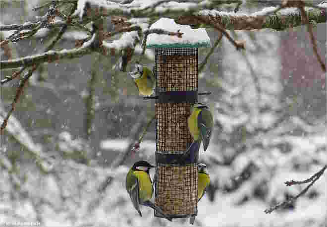 Reger Betrieb bei Schneetreiben