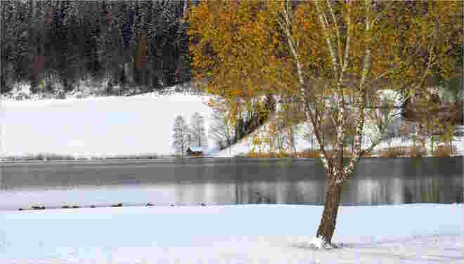 Plötzlich Winter