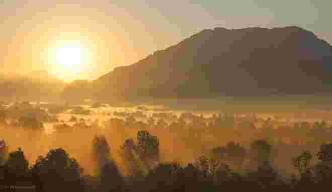 Morgenstund' hat Gold im Mund