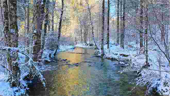 Goldene Winterstimmung