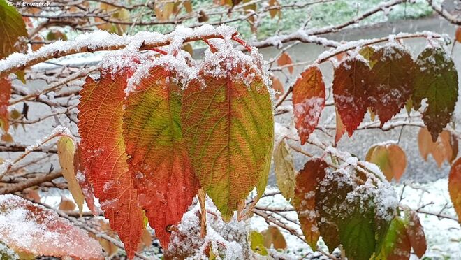 Heute ... ein erster Gruß vom Winter