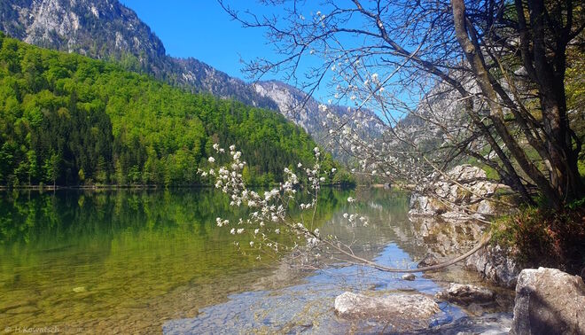 Frühling am Leopoldsteinersee