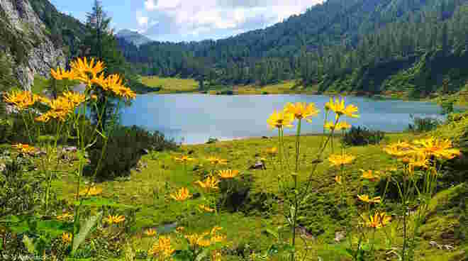 Ein Sommertag am Bergsee