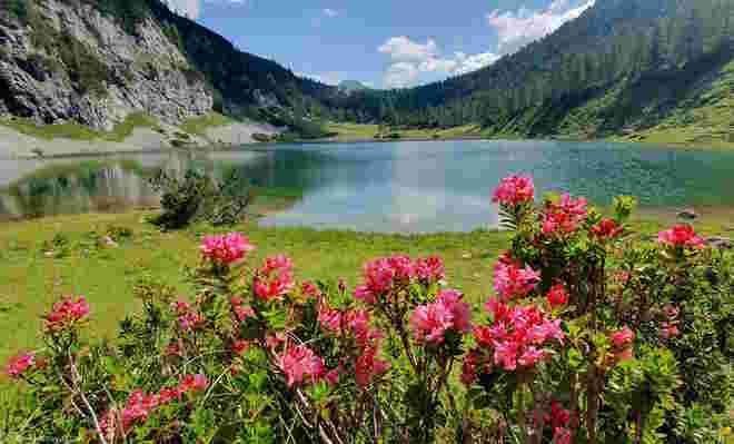 Bergsommer am Schwarzensee