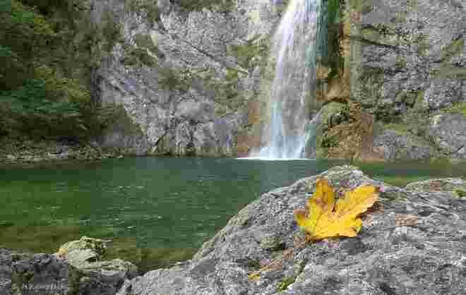 Der Herbst ist da