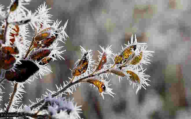 Ein frostiger Novembermorgen