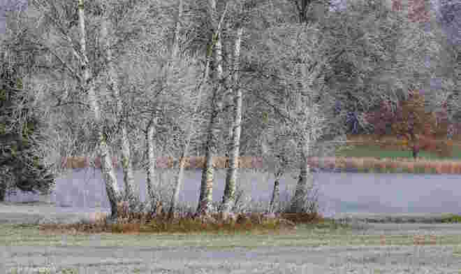 Ein Wintermärchen im Herbst