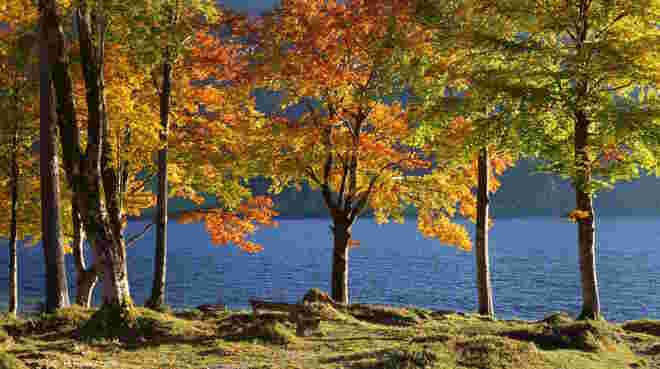 Malermeister Herbst