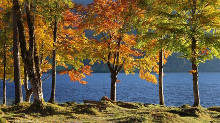 Malermeister Herbst