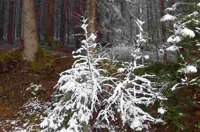 Der Winter gibt sich noch nicht ganz geschlagen