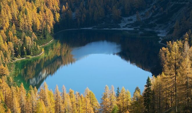 Von leuchtenden Lärchen umgeben