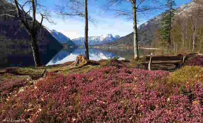 Bankerl mit Seeblick