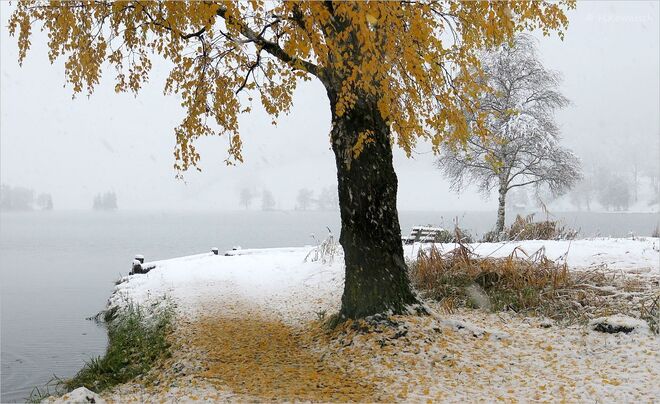 Ein Gastspiel des Winters