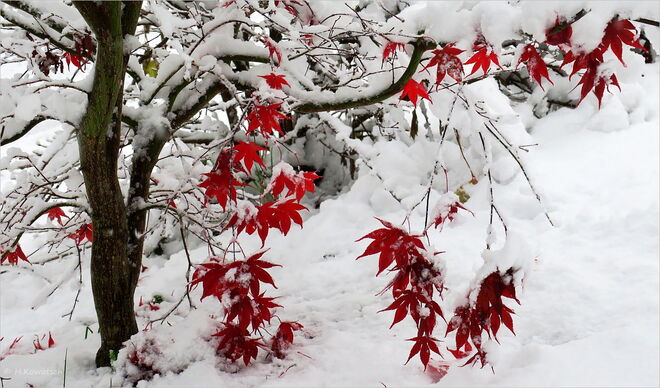 Jetzt ist er da, der Winter